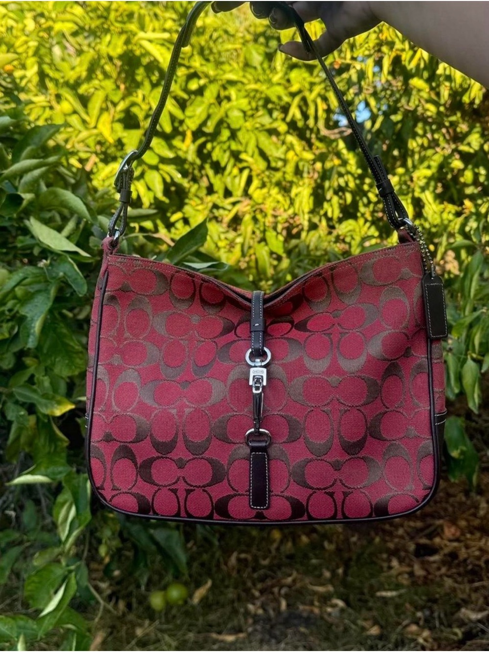 Y2K Coach Hamptons hobo clip bag